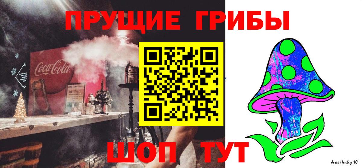 Галлюциногенные грибы прущие грибы  Вход с VPN  Алексеевка 